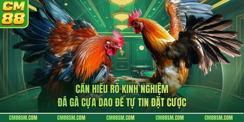 Cần hiểu rõ kinh nghiệm đá gà cựa dao để tự tin đặt cược
