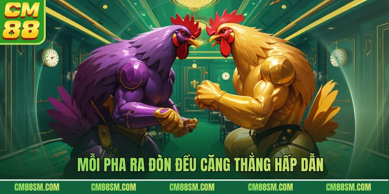 Mỗi pha ra đòn đều căng thẳng hấp dẫn